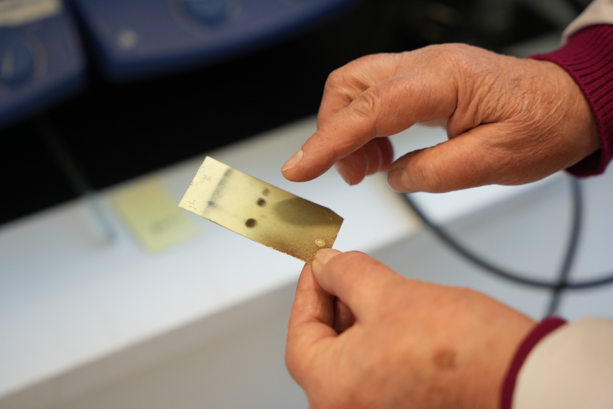 თსსუ-ის ფარმაციის ფაკულტეტის სტუდენტების ვიზიტი ფარმაკოქიმიის ინსტიტუტში მასპინძლა.