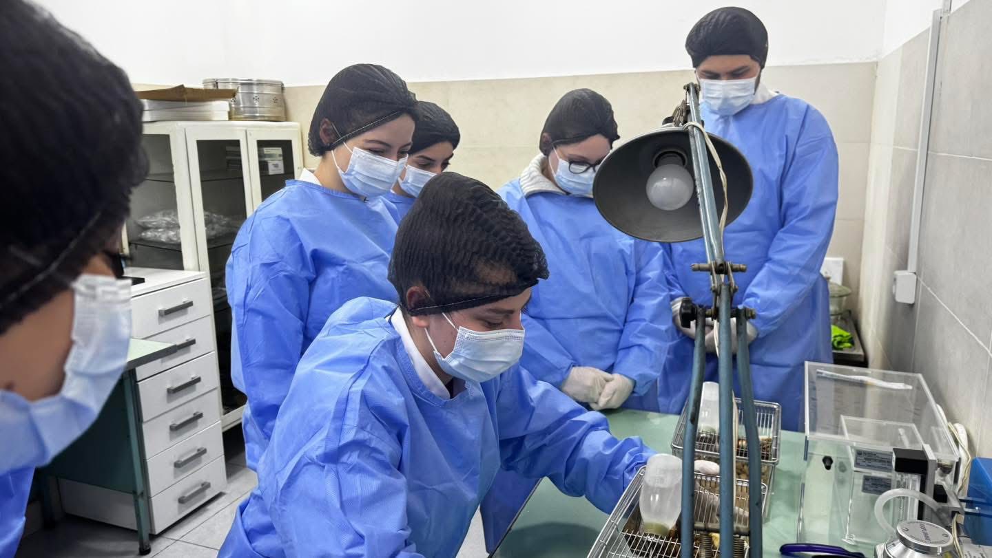 ფარმაკოქიმიის ინსტიტუტში გაიმართა ვორკშოპი - „კლინიკამდელი კვლევის საფუძვლები“