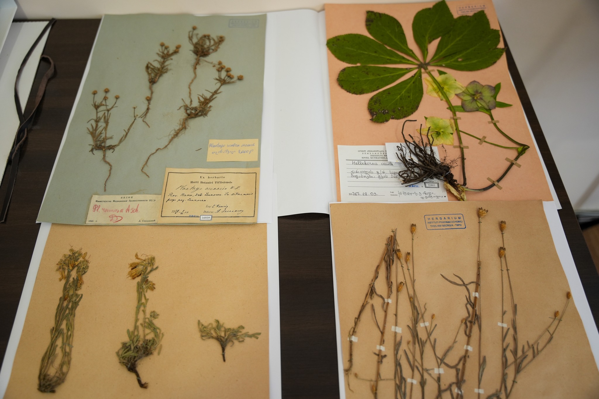 თსსუ-ის იოველ ქუთათელაძის ფარმაკოქიმიის ინსტიტუტს თურქმენეთის საგანგებო და სრულუფლებიანი ელჩი ესტუმრა